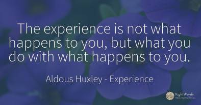 The experience is not what happens to you, but what you...