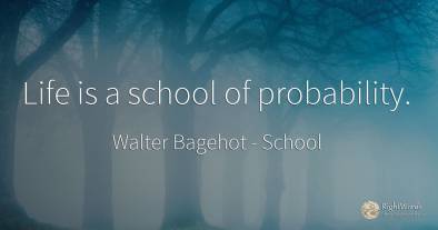 Life is a school of probability.
