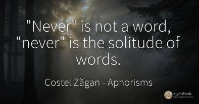 Never is not a word, never is the solitude of words.