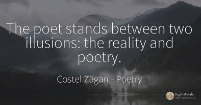 The poet stands between two illusions: the reality and...