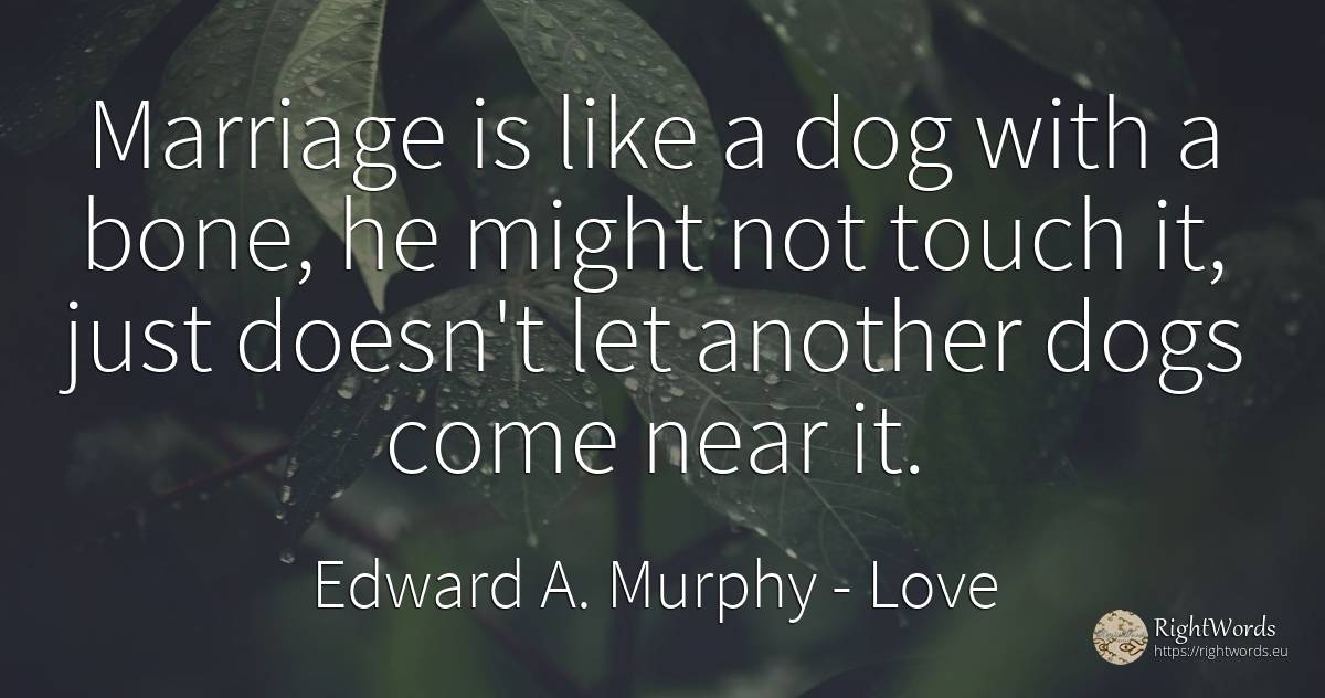 Marriage is like a dog with a bone, he might not touch... - Edward A. Murphy, quote about love, marriage