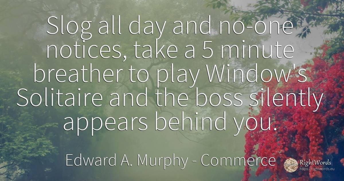 Slog all day and no-one notices, take a 5 minute breather... - Edward A. Murphy, quote about commerce, heads, day