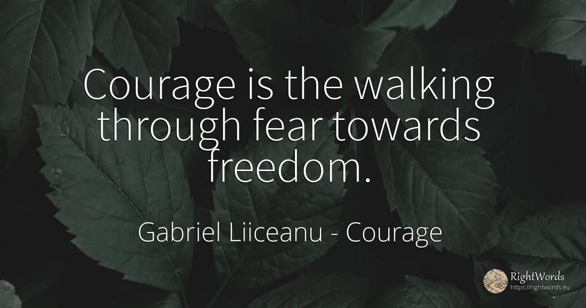 Courage is the walking through fear towards freedom. - Gabriel Liiceanu, quote about courage, fear
