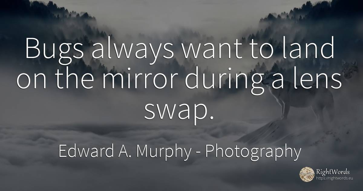 Bugs always want to land on the mirror during a lens swap. - Edward A. Murphy, quote about photography