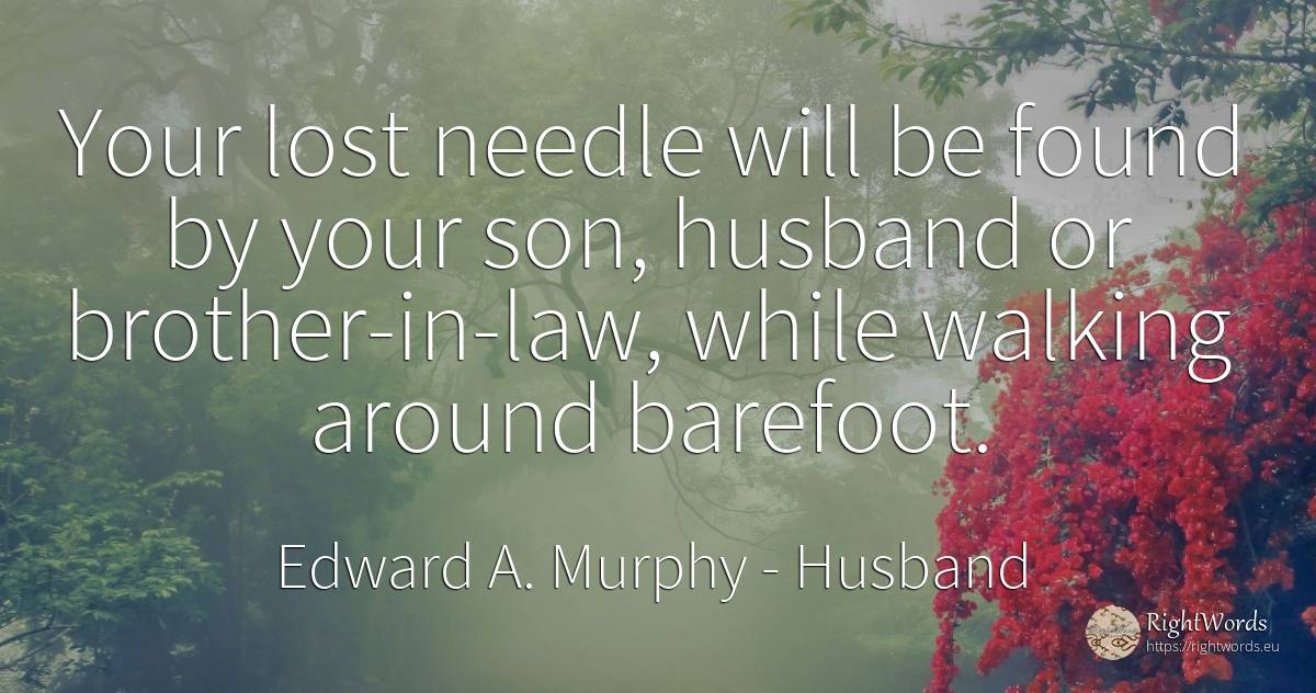 Your lost needle will be found by your son, husband or... - Edward A. Murphy, quote about husband, law