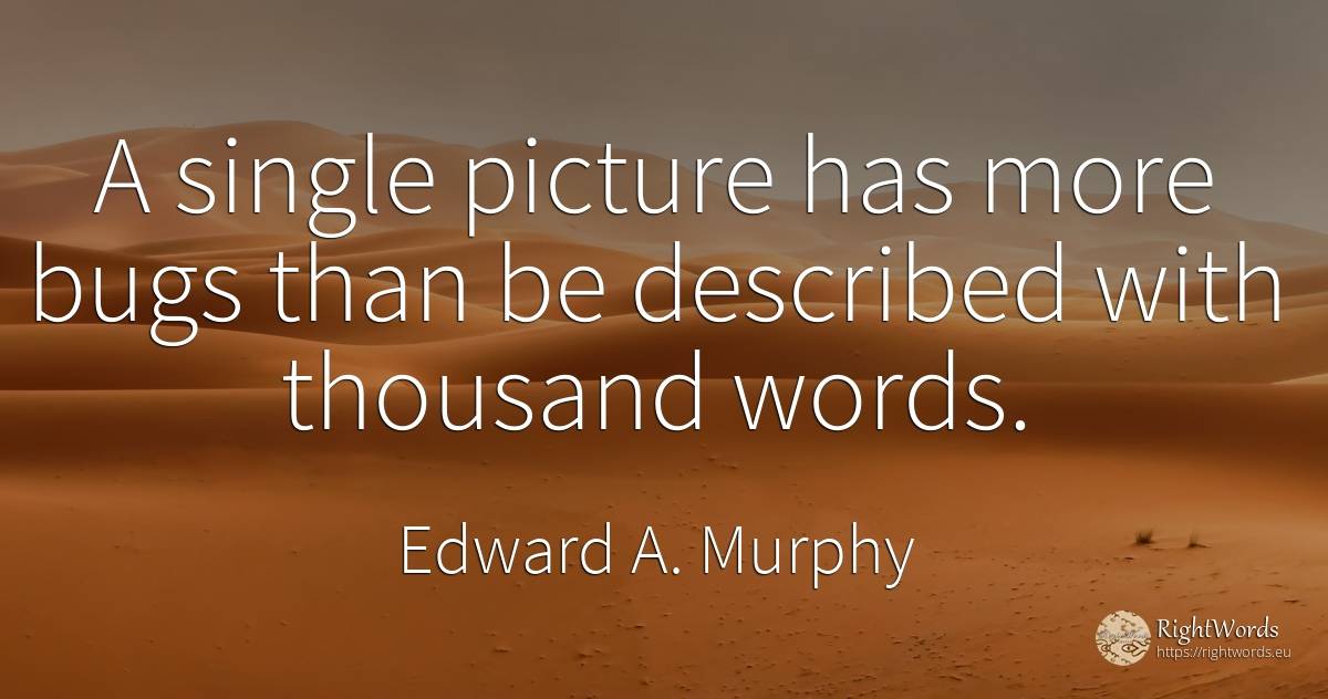 A single picture has more bugs than be described with... - Edward A. Murphy