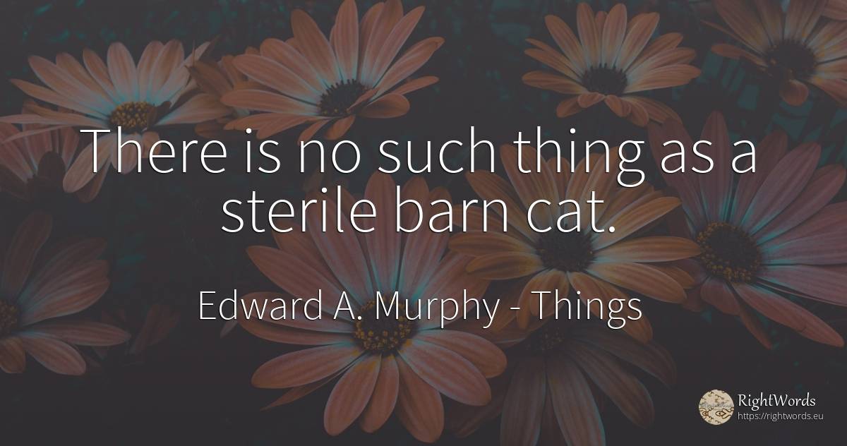 There is no such thing as a sterile barn cat. - Edward A. Murphy, quote about things