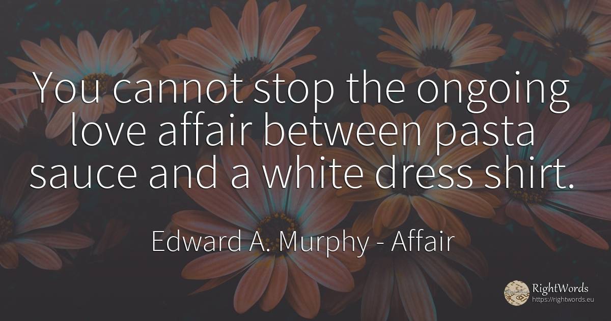 You cannot stop the ongoing love affair between pasta... - Edward A. Murphy, quote about affair, love