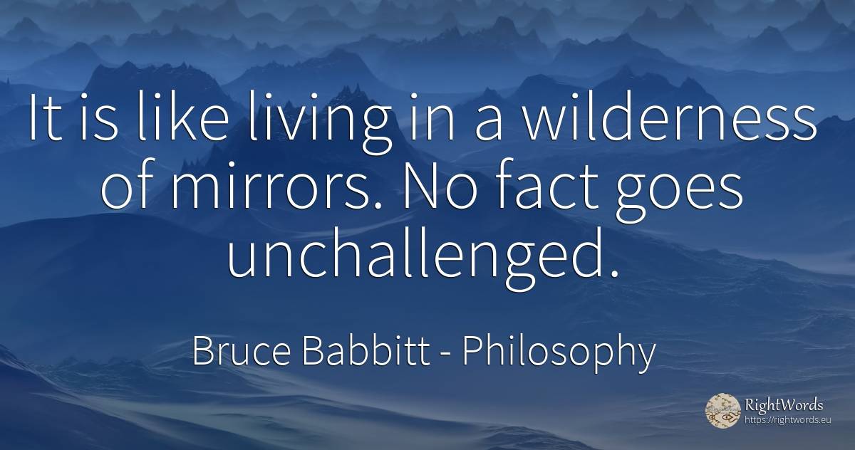 It is like living in a wilderness of mirrors. No fact... - Bruce Babbitt, quote about philosophy