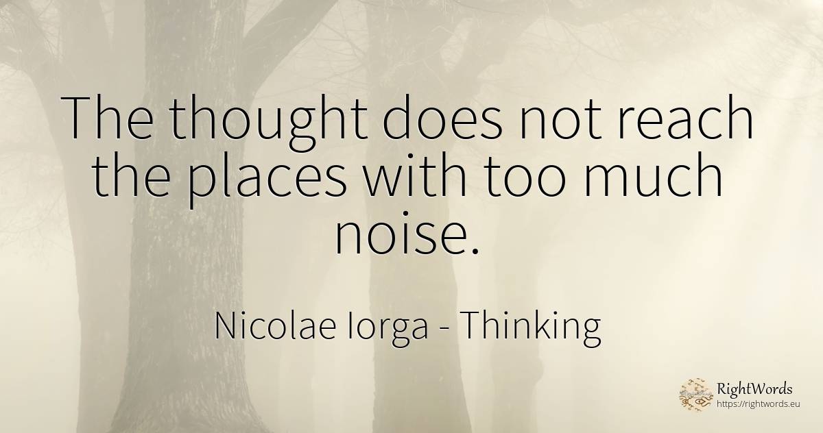 The thought does not reach the places with too much noise. - Nicolae Iorga, quote about thinking
