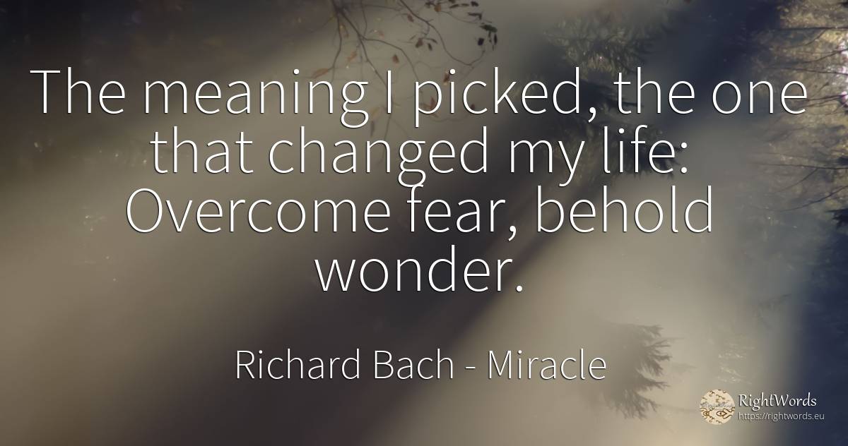 The meaning I picked, the one that changed my life:... - Richard Bach, quote about miracle, fear, life
