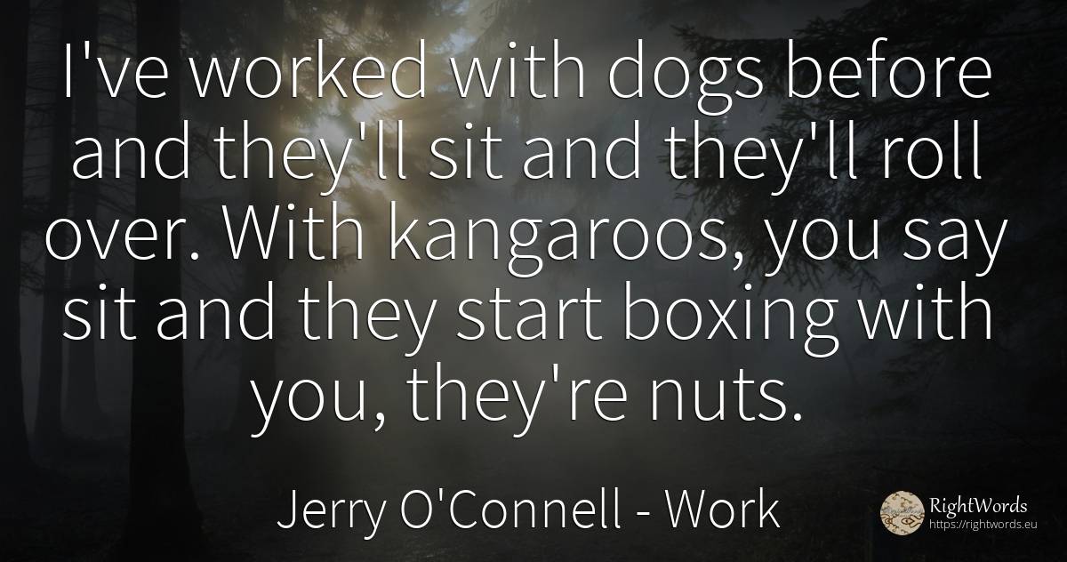 I've worked with dogs before and they'll sit and they'll... - Jerry O'Connell, quote about work