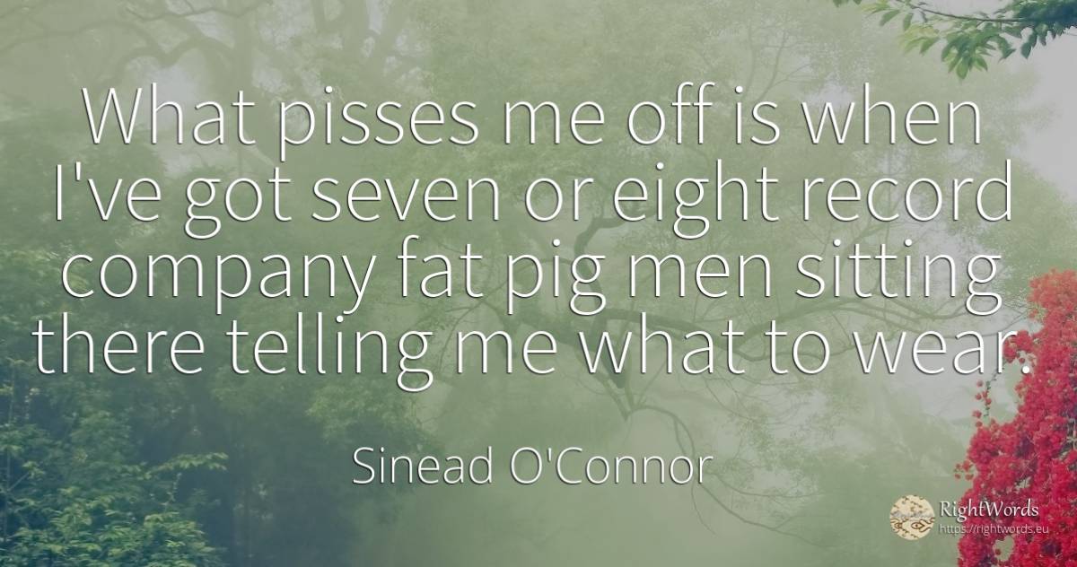 What pisses me off is when I've got seven or eight record... - Sinead O'Connor, quote about companies, man
