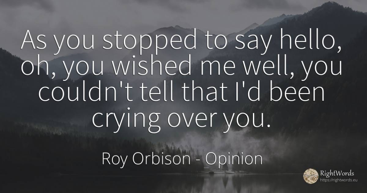 As you stopped to say hello, oh, you wished me well, you... - Roy Orbison, quote about opinion
