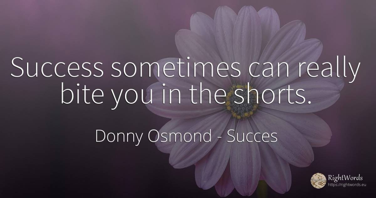 Success sometimes can really bite you in the shorts. - Donny Osmond, quote about succes