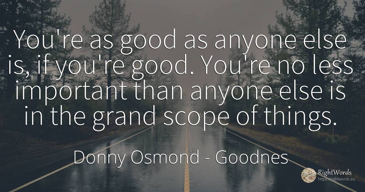 You're as good as anyone else is, if you're good. You're... - Donny Osmond, quote about goodnes, good, good luck, things