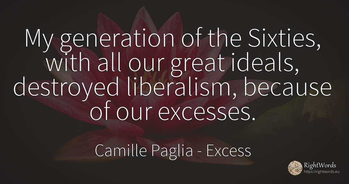 My generation of the Sixties, with all our great ideals, ... - Camille Paglia, quote about excess