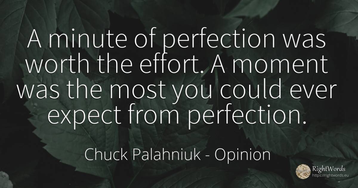 A minute of perfection was worth the effort. A moment was... - Chuck Palahniuk, quote about opinion, perfection, moment