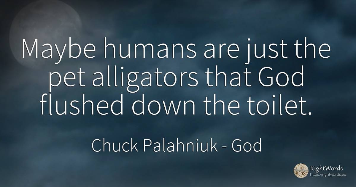 Maybe humans are just the pet alligators that God flushed... - Chuck Palahniuk, quote about god, people
