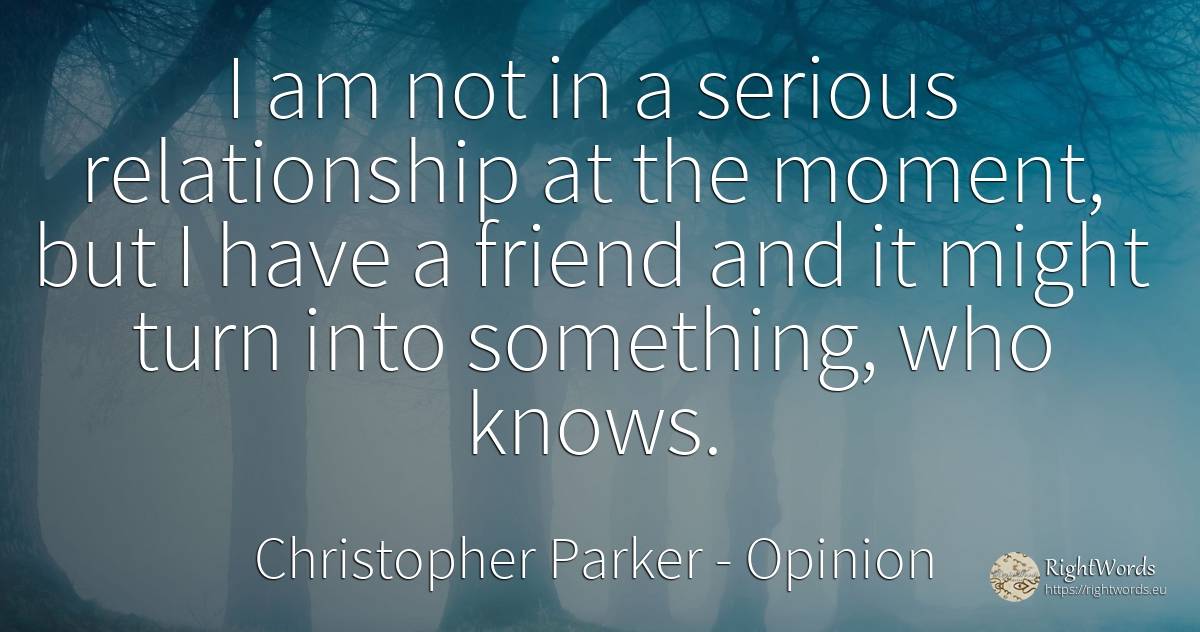 I am not in a serious relationship at the moment, but I... - Christopher Parker, quote about opinion, moment