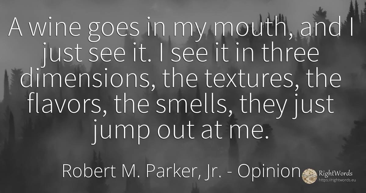 A wine goes in my mouth, and I just see it. I see it in... - Robert M. Parker, Jr., quote about opinion, wine