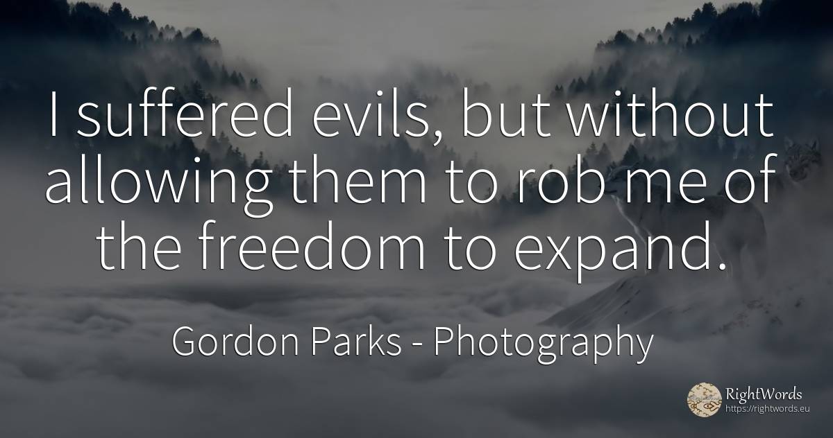 I suffered evils, but without allowing them to rob me of... - Gordon Parks, quote about photography