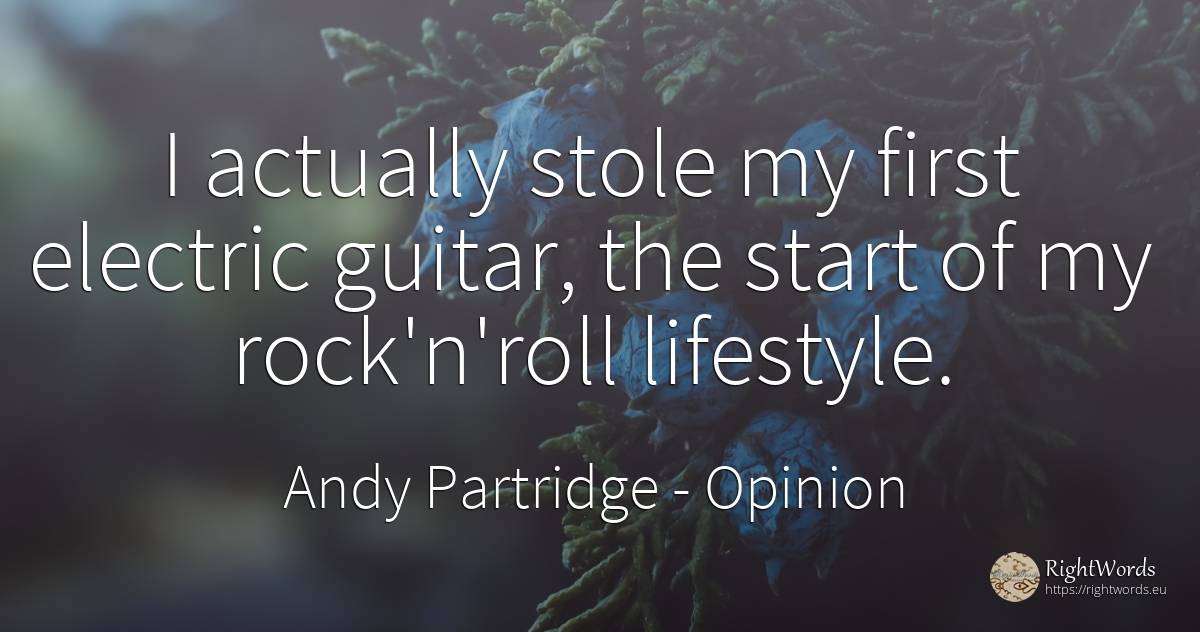 I actually stole my first electric guitar, the start of... - Andy Partridge, quote about opinion, rocks