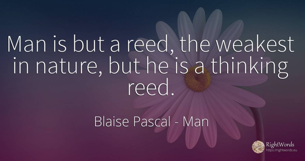 Man is but a reed, the weakest in nature, but he is a... - Blaise Pascal, quote about man, thinking, nature