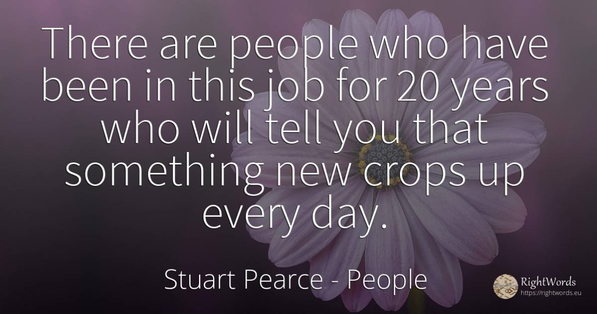 There are people who have been in this job for 20 years... - Stuart Pearce, quote about people, day