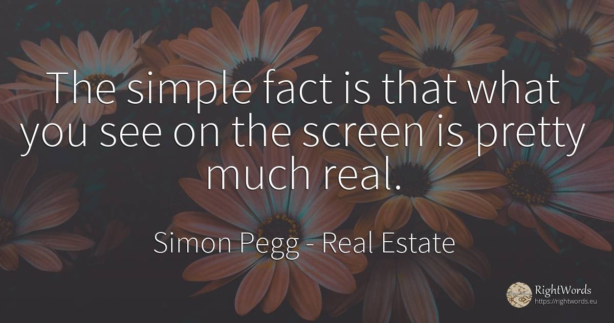 The simple fact is that what you see on the screen is... - Simon Pegg, quote about real estate