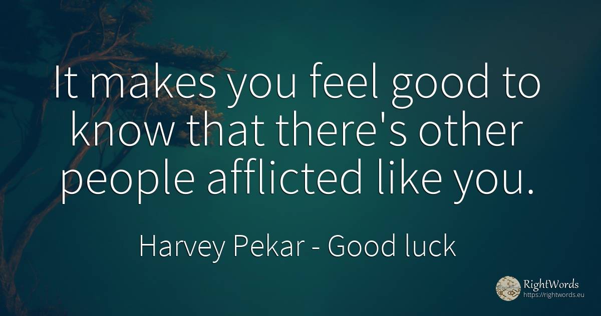 It makes you feel good to know that there's other people... - Harvey Pekar, quote about good, good luck, people