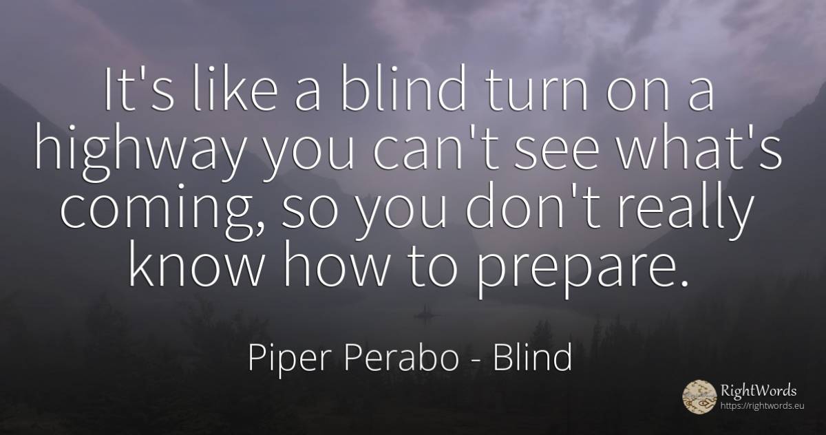 It's like a blind turn on a highway you can't see what's... - Piper Perabo, quote about blind