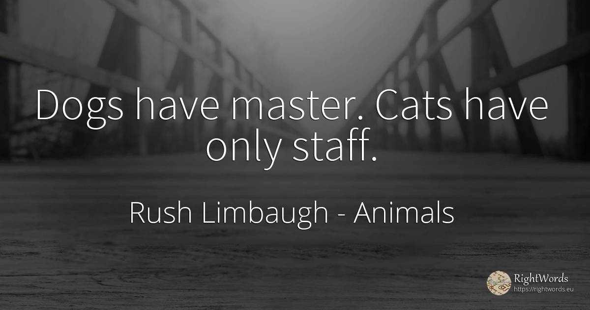 Dogs have master. Cats have only staff. - Rush Limbaugh, quote about animals