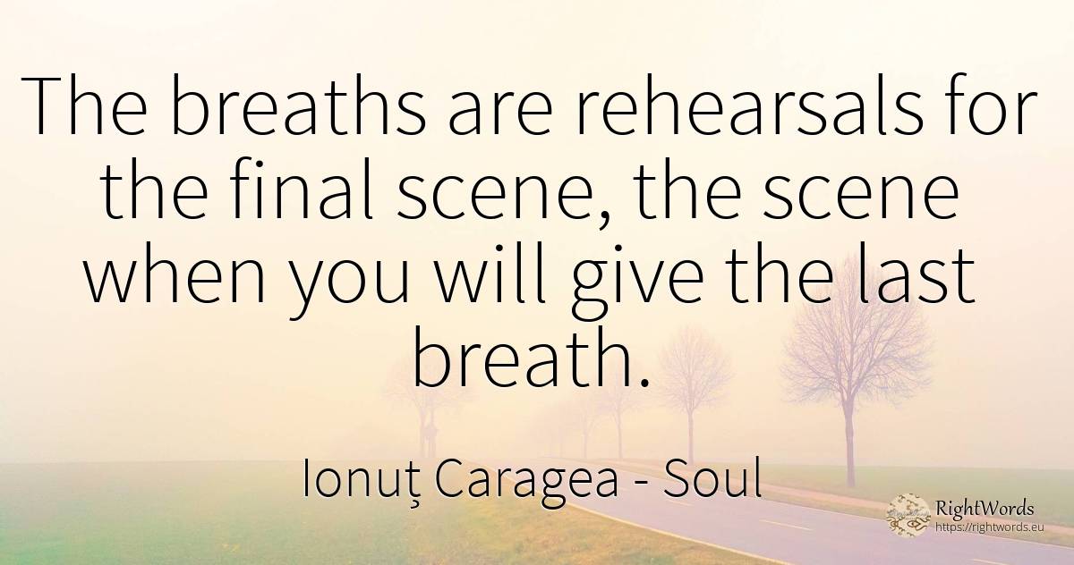 The breaths are rehearsals for the final scene, the scene... - Ionuț Caragea (Snowdon King), quote about soul