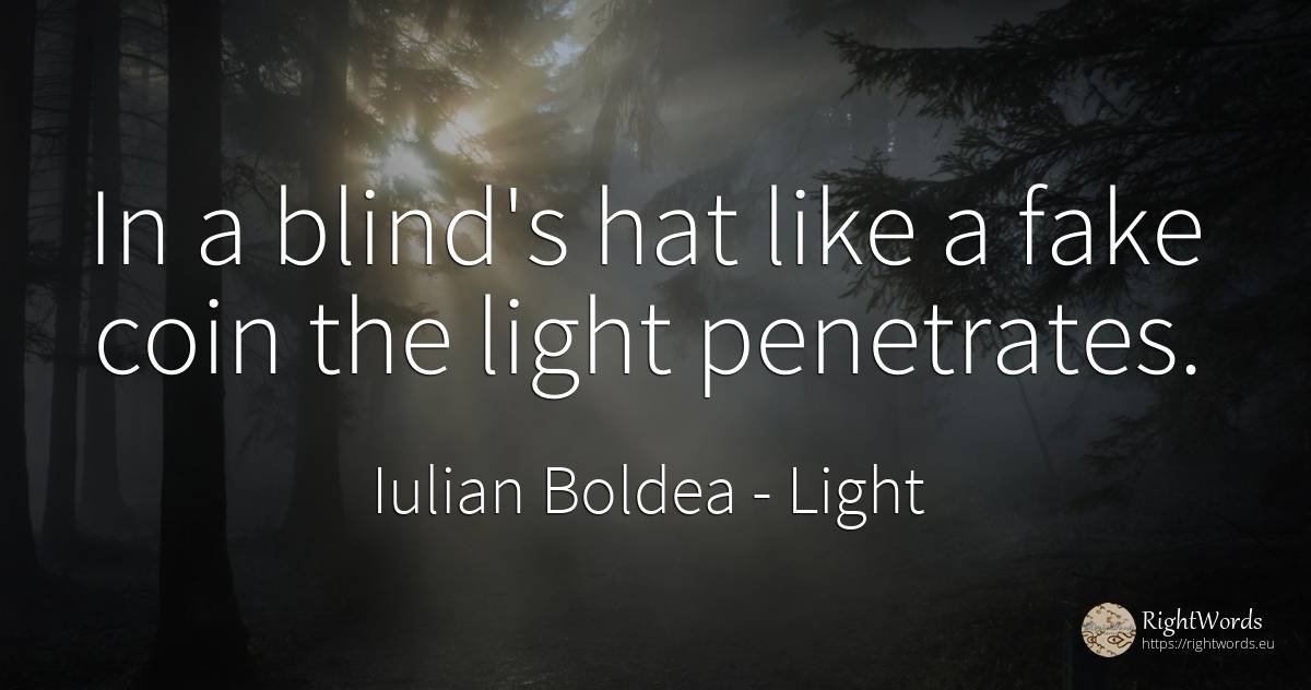 In a blind's hat like a fake coin the light penetrates. - Iulian Boldea, quote about light, blind