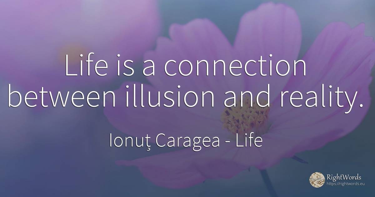Life is a connection between illusion and reality. - Ionuț Caragea (Snowdon King), quote about life, reality