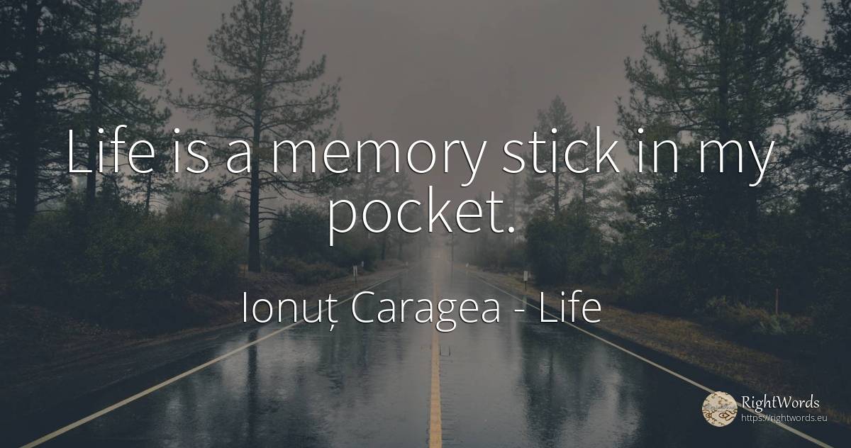 Life is a memory stick in my pocket. - Ionuț Caragea (Snowdon King), quote about life, memory