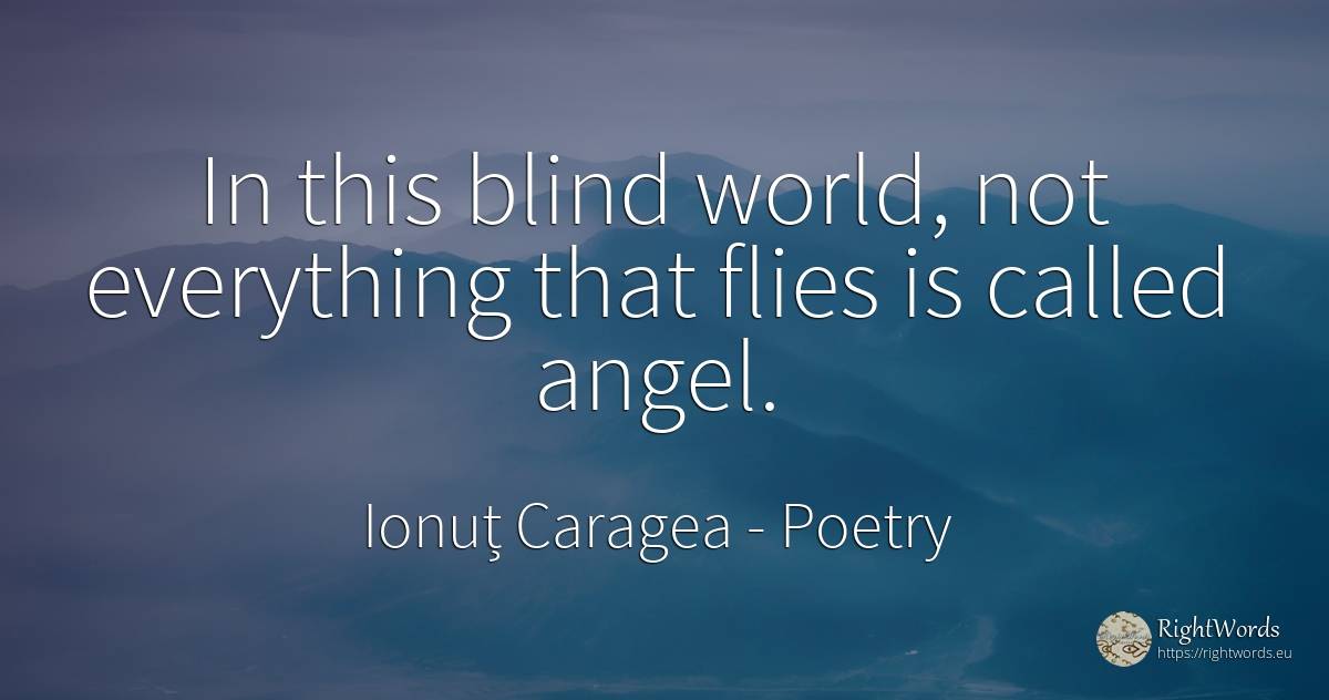 In this blind world, not everything that flies is called... - Ionuț Caragea (Snowdon King), quote about poetry, blind, world