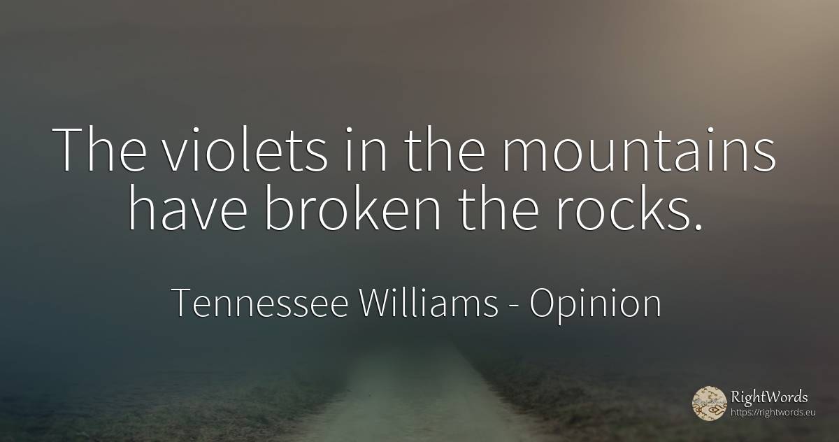 The violets in the mountains have broken the rocks. - Tennessee Williams, quote about opinion, rocks