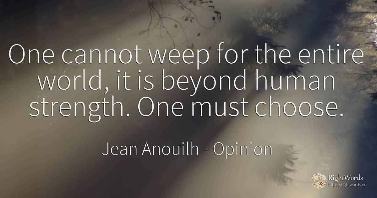 One cannot weep for the entire world, it is beyond human... - Jean Anouilh, quote about opinion, human imperfections, world