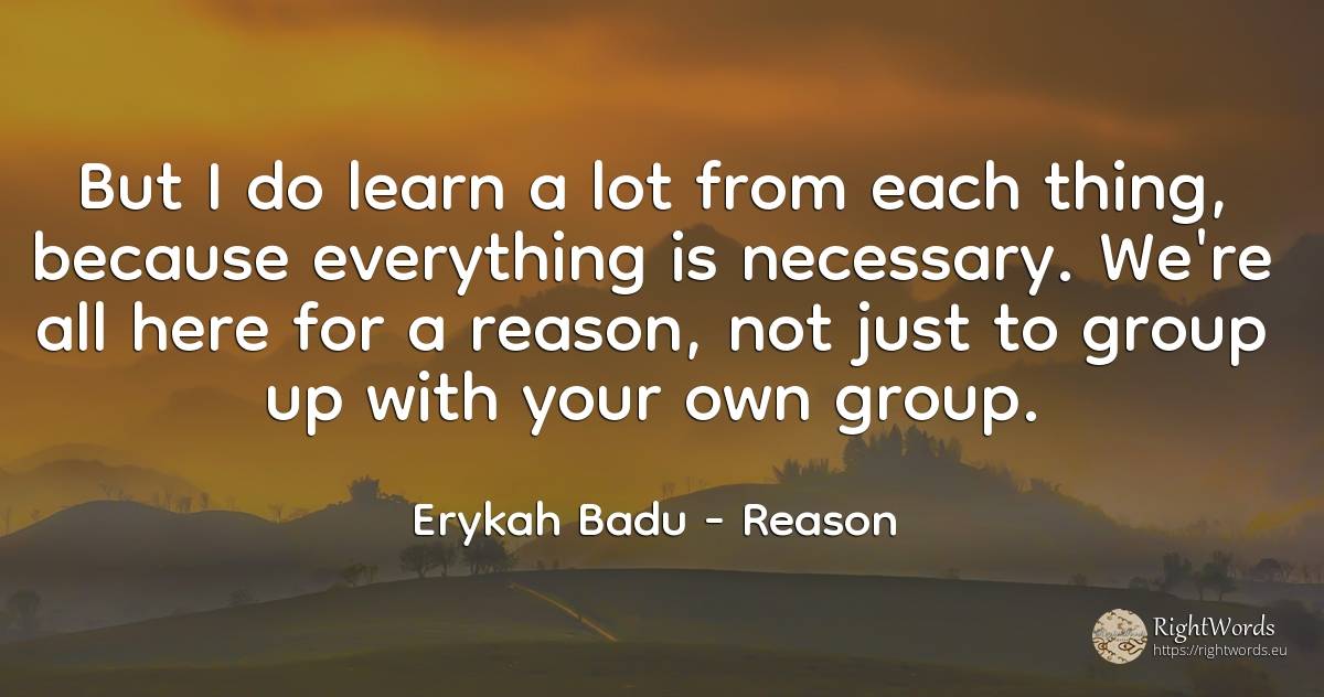 But I do learn a lot from each thing, because everything... - Erykah Badu, quote about reason, things