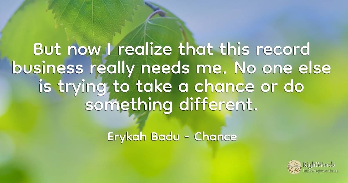 But now I realize that this record business really needs... - Erykah Badu, quote about chance, affair