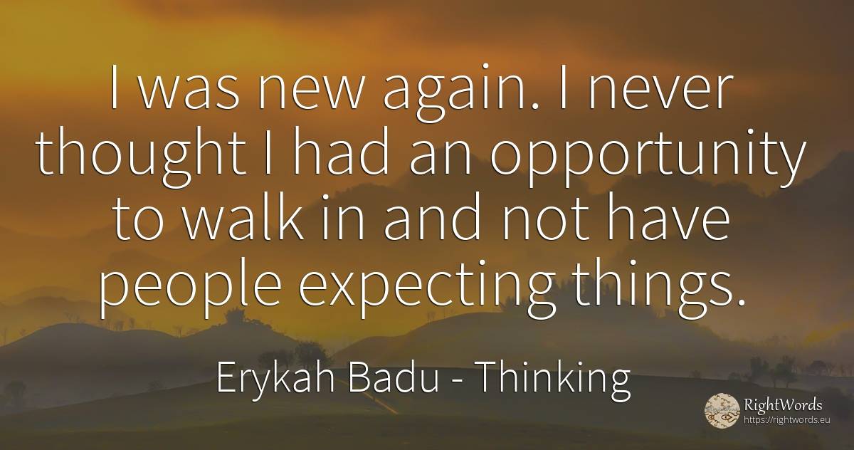 I was new again. I never thought I had an opportunity to... - Erykah Badu, quote about chance, thinking, things, people