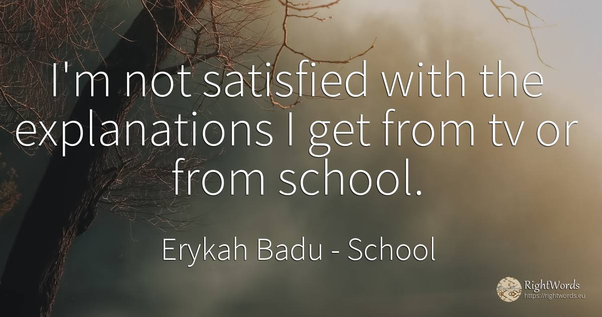 I'm not satisfied with the explanations I get from tv or... - Erykah Badu, quote about school