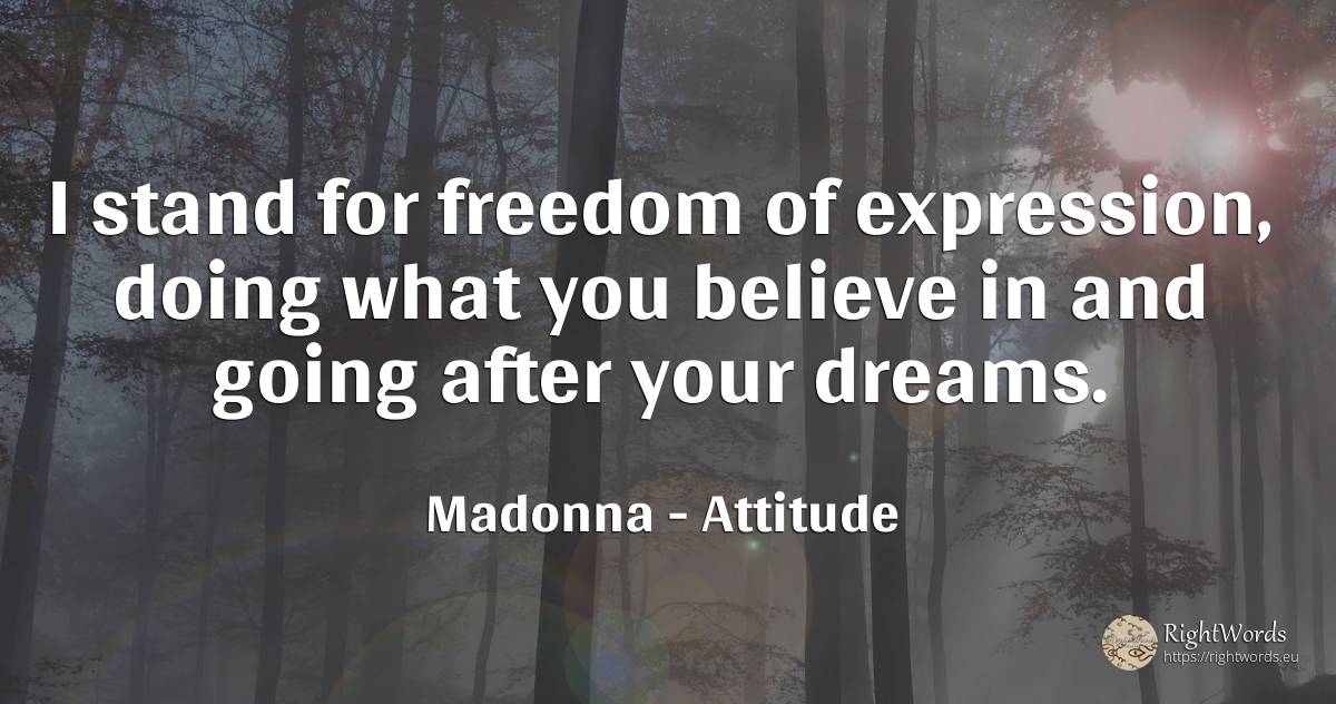 I stand for freedom of expression, doing what you believe... - Madonna, quote about attitude, dream