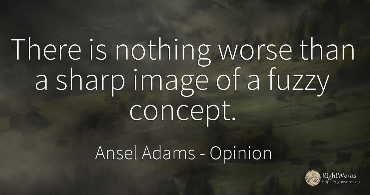 There is nothing worse than a sharp image of a fuzzy... - Ansel Adams, quote about opinion, nothing