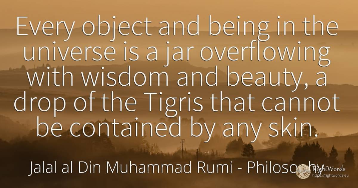 Every object and being in the universe is a jar... - Jalal al-Din Muhammad Rumi (Jalāl ad-Dīn Muhammad Rūmī), quote about philosophy, beauty, wisdom, being