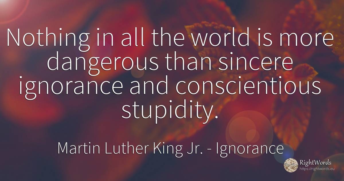 Nothing in all the world is more dangerous than sincere... - Martin Luther King Jr. (MLK), quote about ignorance