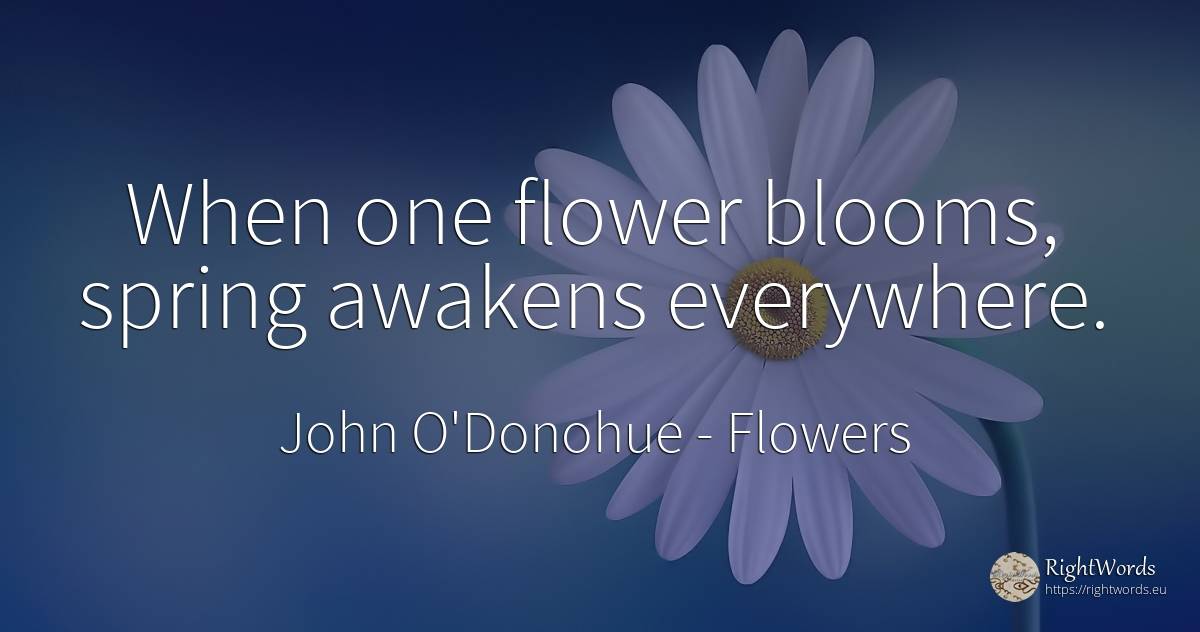 When one flower blooms, spring awakens everywhere. - John O'Donohue, quote about flowers