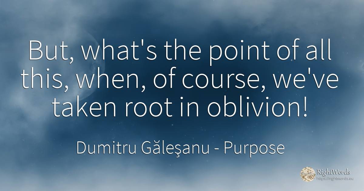 But, what's the point of all this, when, of course, we've... - Dumitru Găleşanu, quote about purpose